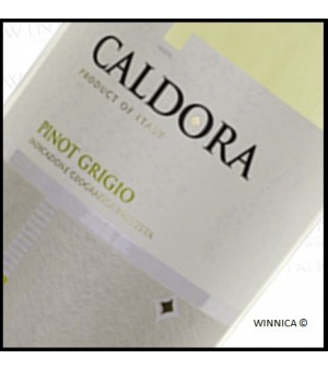 Caldora Pinot Grigio -...