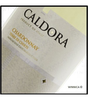 Caldora Chardonnay - Terre...