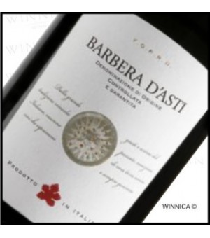 Bosio Barbera d`Asti